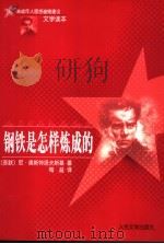 钢铁是怎样炼成的 缩写本 第5版 1995 PDF电子版封面 753651302X (苏)尼·奥斯特洛夫斯基原著;柯识津编译