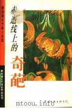 赤道线上的奇葩 新加坡女作家小说选 1994 PDF电子版封面 7505921673 新加坡文艺协会编