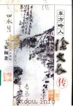 东方畸人 徐文长传 1999 PDF电子版封面 7208031649 丁家桐著