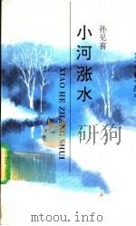 小河涨水   1993  PDF电子版封面  7541931039  孙见喜著 