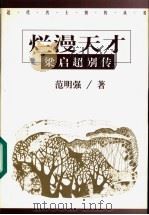 烂漫天才 梁启超别传 1999 PDF电子版封面 7508017560 范明强著