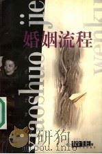 婚姻流程 1999 PDF电子版封面 7532119092 黄蓓佳著
