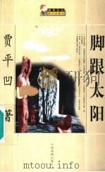 贾平凹散文 1999 PDF电子版封面 7104009450 贾平凹著