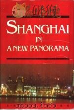新编上海大观   1993  PDF电子版封面  7805156972  卢莹辉主编；吴云溥，曹宪镛，徐同甫，林路副主编 