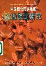 中国西北民族地区政治稳定研究 1998 PDF电子版封面 7226018888 王宗礼等著