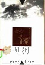 初心与正觉 1999 PDF电子版封面 750631813X 朱向前著