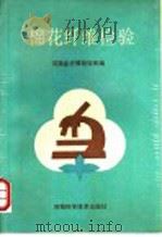 棉花纤维检验 1991 PDF电子版封面 7534909023 河南省纤维检验所编