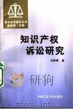 知识产权诉讼研究 1996 PDF电子版封面 7810209434 冯晓青著