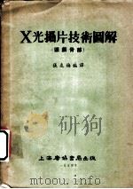 X光摄片技术图解 关颅骨部 1954 PDF电子版封面 张友梅编译