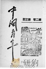 中国青年 第2卷 第3期 1940 PDF电子版封面 中国青年社编