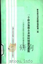 一个新办集体企业如何创建与发展:天津青年联合实业公司调查访部记 PDF电子版封面 中国社会科学院青少年研究所青年劳动就业研究室编