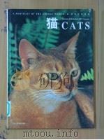 猫   1998  PDF电子版封面  7530508601  （美）（M.施内克）MarcusSchneck，（美）（J. 