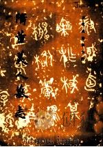 隋董美人墓志（1984 PDF版）