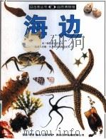 海边 1995 PDF电子版封面 7108008076 史提夫·派克著;温淑真译