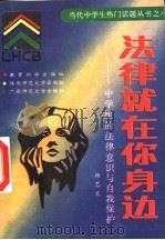 法律就在你身边 中学生的法律意识与自我保护 1993 PDF电子版封面 7504112704 杨艺文编著