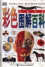 彩色图解百科 汉英对照 1997 PDF电子版封面 7119019139 英国多林·肯德斯林有限公司编;邹映辉等译