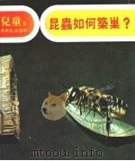 儿童自然生活百科 9 昆虫如何筑巢 1979 PDF电子版封面 地球出版社编译小组编译