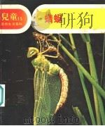 儿童自然生活百科 15 蜻蜓 1979 PDF电子版封面 地球出版社编译小组编译