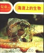 儿童自然生活百科  25  海滩上的生物（1979 PDF版）