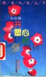 共塑心桥 1993 PDF电子版封面 7535007511 李小芬著;团中央宣传部编