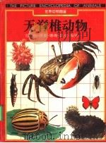 无脊椎动物 变形虫·贝类·珊瑚·昆虫·海星…… 1995 PDF电子版封面 7800518205 海豚出版社编辑部,光复书局编辑部