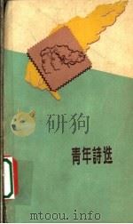 青年诗选 1959 PDF电子版封面 10125·292 周望望等著