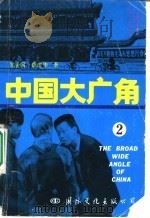 中国大广角 2 1989 PDF电子版封面 780049411X 邹爱国,薛建华著