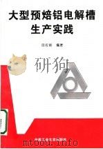 大型预焙铝电解槽生产实践   1997  PDF电子版封面  7810209868  田应甫编著 
