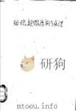 细胞超微结构与病理（ PDF版）