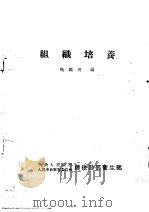 组织培养（1953 PDF版）