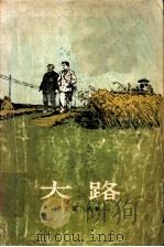 大路 1956 PDF电子版封面 10020·378 (苏)伊里英柯夫(В.П.Ильенков)著;刘颂燕译