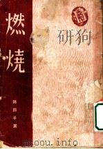 燃烧 1949 PDF电子版封面 师田手撰