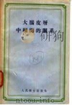 大脑皮层中枢间的关系 1957 PDF电子版封面 14048·1416 (苏)雅柯夫列娃(Е.А.Яковлева)著;董承统译