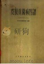 皮肤真菌病图谱 1958 PDF电子版封面 14048·1446 北京皮肤性病研究所编著