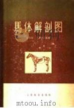 马体解剖图 1961 PDF电子版封面 13010·649 (日)田中宏,(日)大泽竹次郎著;张鹤宇,刘理译