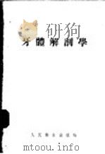 牙体解剖学 1955 PDF电子版封面 钟之琦编著