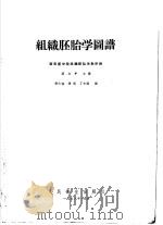 组织胚胎学图谱 1958 PDF电子版封面 14048·1488 蒋加年等编