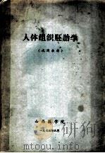 人体组织胚胎学  试用教材（1973 PDF版）