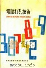 电脑打孔技术 1971 PDF电子版封面 陈颐昌编著