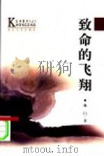 致命的飞翔 1996 PDF电子版封面 7535412866 林白著