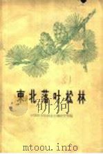 东北落叶松林   1962  PDF电子版封面  16144·1277  中国科学院林业土壤研究所编 