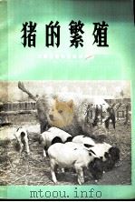 猪的繁殖 1973 PDF电子版封面 16116·169 云南省畜牧兽医研究所编