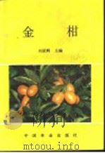 金柑 1991 PDF电子版封面 7503808039 刘星辉主编