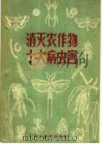 消灭农作物十大病虫害 消灭飞蝗为害 1956 PDF电子版封面 中华人民共和国农业部植物保护局,中华全国科学技术普及协会合编