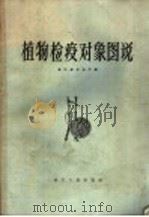 植物检疫对象图说 1959 PDF电子版封面 16103·179 浙江省农业厅编