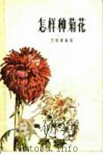 怎样种菊花 1956 PDF电子版封面 T16077·2 王瑞灿编著