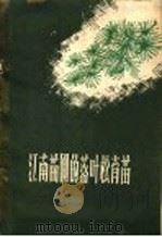 江南苗圃的落叶松育苗 1960 PDF电子版封面 16046·724 张范等编