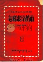 农业科学成就和先进经验介绍  怎样栽培蕃茄（ PDF版）