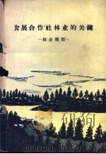 发展合作社林业的关键 林业规划 1958 PDF电子版封面 16046·384 孟宪伦编