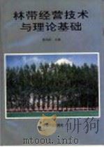 林带经营技术与理论基础 1992 PDF电子版封面 7503809019 姜凤歧主编
